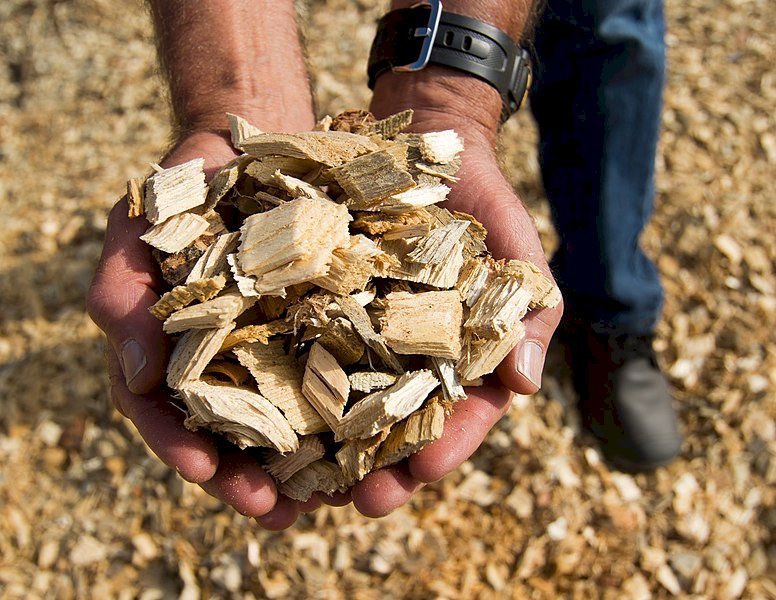 Per affrancarsi dal gas il Piemonte punta sulle biomasse: “Ma serve l’aiuto del governo”