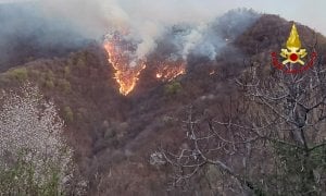 Ettari di bosco in fiamme tra Isasca e Brondello