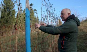 Reinventarsi agricoltore bio dopo aver perso il lavoro: la storia di Daniele Carletto