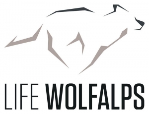 Orsi di paglia, lupi di pelo