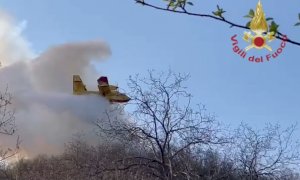 Borgo San Dalmazzo, bruciano i boschi sopra Madonna Bruna