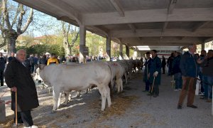 A Bra un successo di pubblico per la Fiera di Pasquetta