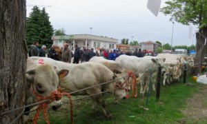 Cherasco, festa patronale del Cristo Risorto da sabato 30 aprile a lunedì 2 maggio