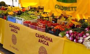 Campagna Amica riporta la campagna a chilometro zero nelle piazze della Granda