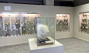 Domenica 1° maggio apertura del Museo del Fungo e delle Scienze Naturali e altri musei bovesani