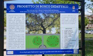 Alba, Rotary e Comune insieme per realizzare un bosco didattico e la piantumazione di piante di frutti antichi