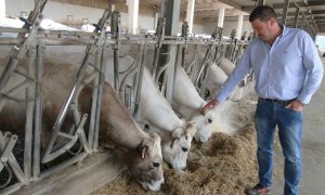 Incontro tra Cia regionale e quelle provinciali per decidere il futuro della Razza Bovina Piemontese