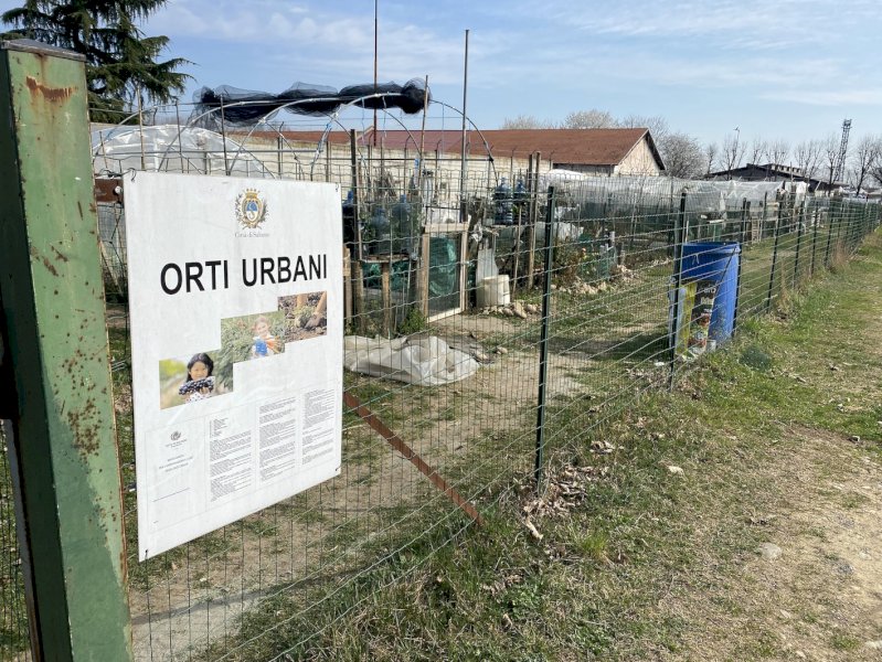 Saluzzo, dal 16 al 31 maggio le richieste per le concessioni degli orti urbani nella zona del Foro Boario