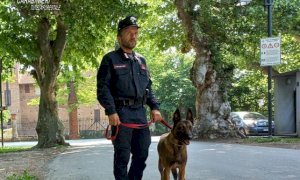 Cane muore durante la passeggiata col padrone nel centro di Cherasco: è stato avvelenato