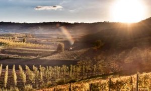 Il Piemonte si prepara ad un weekend rovente: attese temperature fino a 35 gradi in pianura