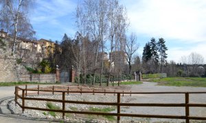 Sabato 28 maggio a Busca si pianta l’albero della leva 2021