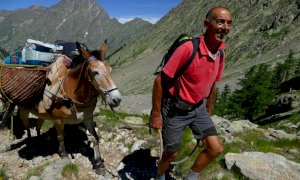 A Boves la storia dell'uomo che rifornisce i rifugi di montagna a dorso di mulo