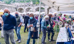 Domani e domenica sboccia a Vinadio la seconda edizione di “Forte in fiore” organizzata da Artea