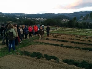 Herbartis: Giovani imprenditori italiani e Terre dei Savoia in Spagna per conoscere la filiera delle erbe aromatiche