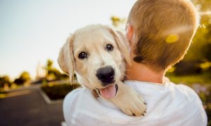 Pet therapy, riprendono gli interventi assistiti con animali in regione