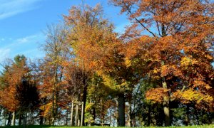 Cuneo, sabato la Festa di Primavera nel Parco Monviso