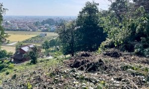 Alberi abbattuti al parco Francotto di Busca: si cercano i responsabili