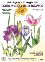 Corso di acquerello per adulti: “Petali”