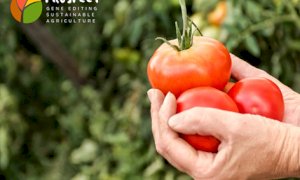 Nuove frontiere del miglioramento genetico delle piante: se ne parla a Cuneo in un workshop