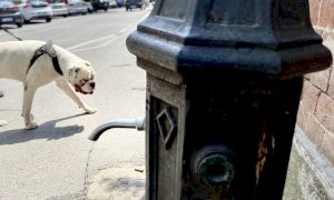 Crisi idrica, il Comune di Saluzzo introduce delle limitazioni all'uso dell'acqua del rubinetto