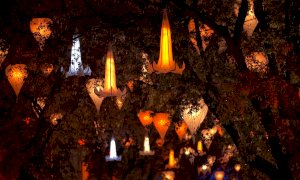 Cuneo Illuminata sarà “In Fior” in onore della Madonna del Carmine: venerdì l'inaugurazione