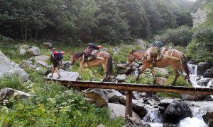 I muli tornano sulle Alpi Marittime per rifornire i rifugi
