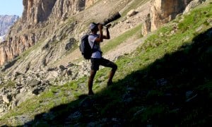 Volpi, cinghiali, rapaci e scoiattoli invadono la ROSBettola di Boves