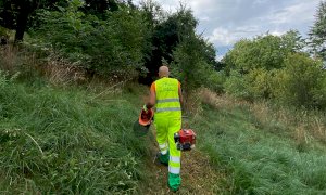 Mondovì, finanziati i progetti per la riqualificazione del Bosco della Nova