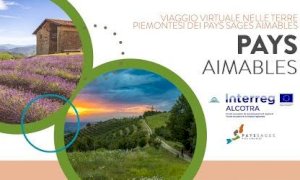 Agenzie di viaggio e tour operator alla scoperta della valle Tanaro e dell’Alta Langa