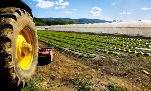 Rinnovato il contratto degli impiegati agricoli del Piemonte   