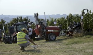 Successo per l’ottava edizione delle prove dimostrative in vigneto di Confagricoltura ad Alba