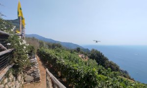 Agricoltura 4.0, al via un gemellaggio Langhe-Cinque Terre per una 