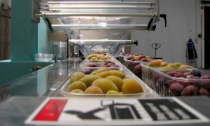 “Storie del Polo AGRIFOOD”, una vetrina sul mondo agroalimentare piemontese