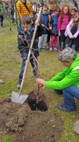 “Festa degli alberi nelle scuole” in Granda