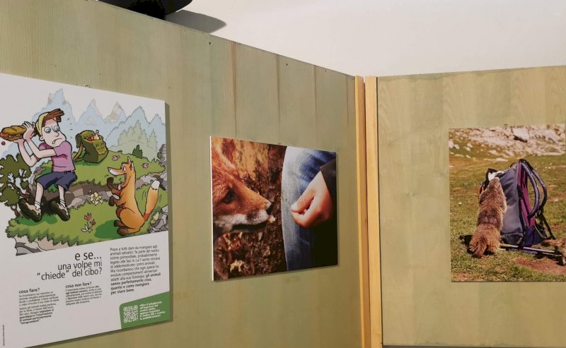 "Gli animali e noi": mostra e campagna di informazione del Parco Alpi Marittime