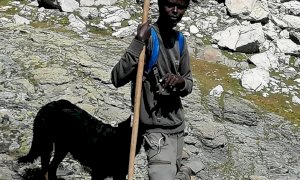 Corre sui social l’appello per ritrovare il border collie di un giovane pastore: “Riportatelo a casa”