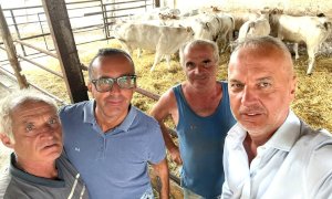 Vacche intossicate a Sommariva Bosco, Bergesio in visita presso l'azienda di Giacomino Olivero