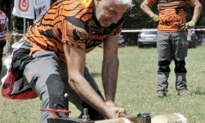 Legno del Monviso grande protagonista della Mostra della Meccanica Agricola di Saluzzo