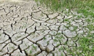 “Dallo Stato 200 milioni per le aziende agricole colpite dalla siccità, ma non bastano”