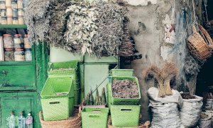 Crisi, dalla Regione attenzione al settore florovivaistico e alla filiera delle piante officinali