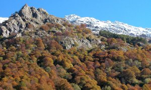 È in vigore il primo Piano forestale della Zona speciale di conservazione “Alpi Marittime”