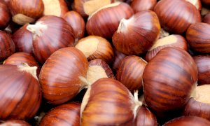 Chiusa Pesio si prepara alla Festa del Re Marrone