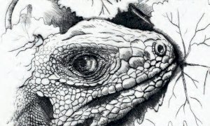 Cuneo, a Palazzo Samone la mostra 