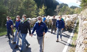 Domani torna “Caluma el vache”, Confagricoltura celebra a Castelmagno la discesa a valle dei margari