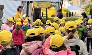 Coldiretti Cuneo, con la Fiera del Marrone la fattoria degli animali arriva in città