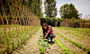 “Giornata della donna rurale”: in Piemonte il 30% delle aziende è rosa