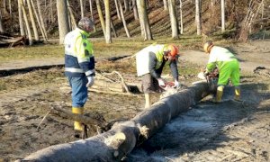 Mondovì, nel weekend un'esercitazione della Protezione Civile per ripulire l'alveo dell'Ellero