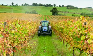 Confagricoltura Piemonte: “Senza sostegni aziende frutticole a rischio chiusura”