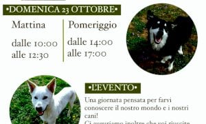 Domenica 23 ottobre porte aperte al canile di Cuneo