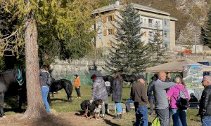 A Casteldelfino nel weekend la “Fiero de Son Martin”